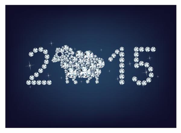 วันปีใหม่ 2015